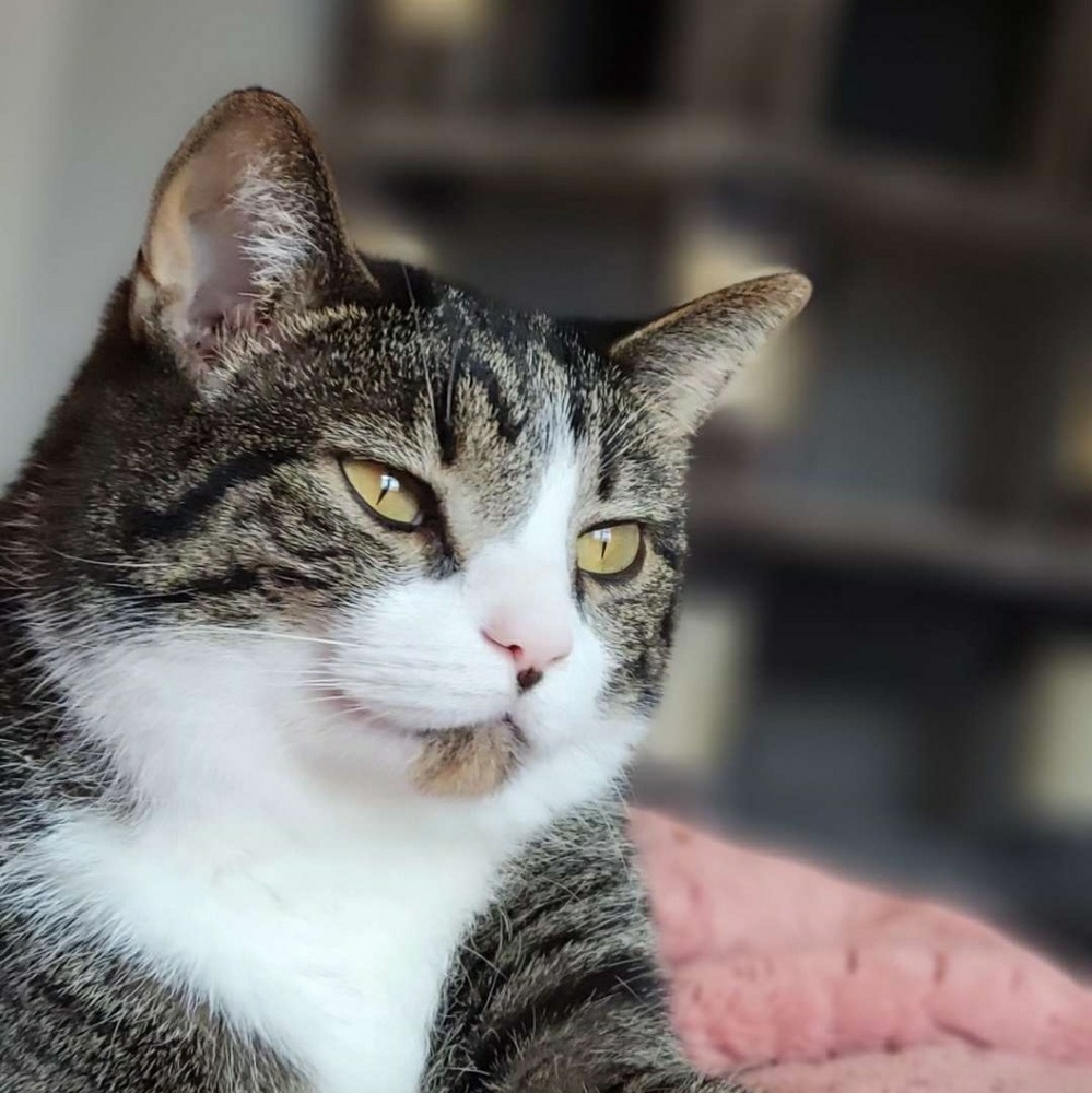 Meet your Posher, Kat